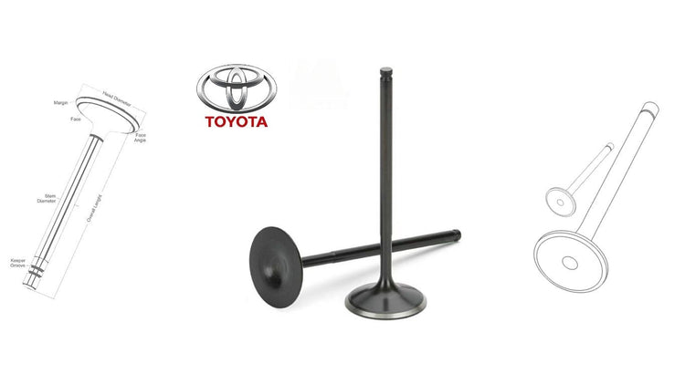 Toyota engine valves